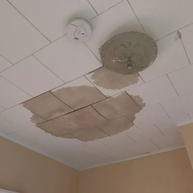 Ceiling Water Damage Repair in Fayetteville, WV