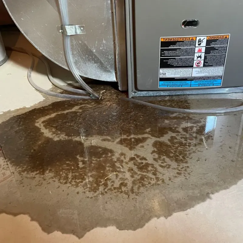 Pipe Burst and Leak Restoration in Fayetteville, WV